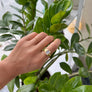 Shell Ring