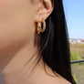 Pave Hoops