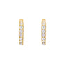 Small Huggie Earrings