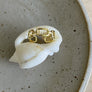 Paperclip Link Ring